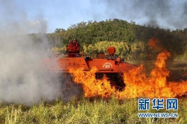 【動(dòng)畫】森林草原防火“十不準(zhǔn)”“五不燒”！這些安全知識(shí)要牢記
